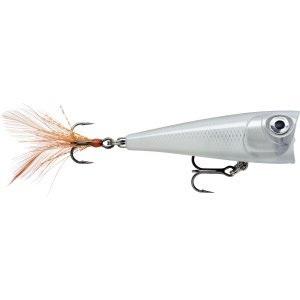 X-LIGHT POP FNP04 PW