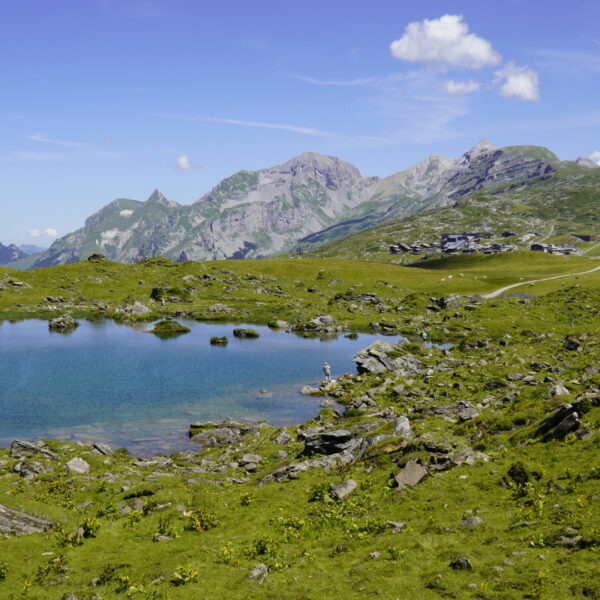 Bergsee mit grünen Hügeln und Alpenpanorama, Blausee bei Kerns.