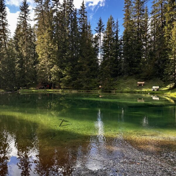 Grüenseeli: Smaragdgrüner Bergsee mit Kiefernwald und Spiegelung im Wasser