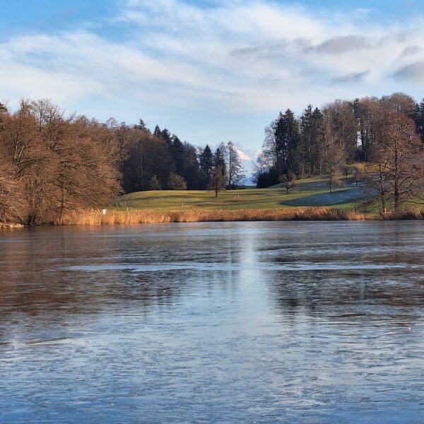 Horgener Bergweiher mit Bäumen und Bergen im Hintergrund