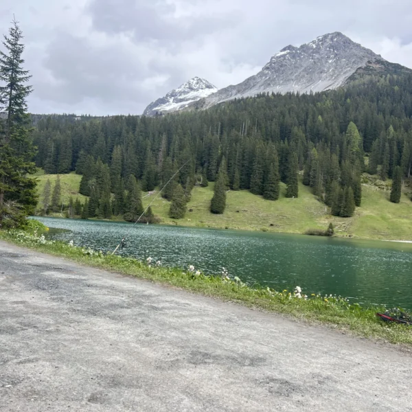 Iselsee: Türkiser Bergsee mit Nadelwald, grünen Hängen und schneebedeckten Gipfeln