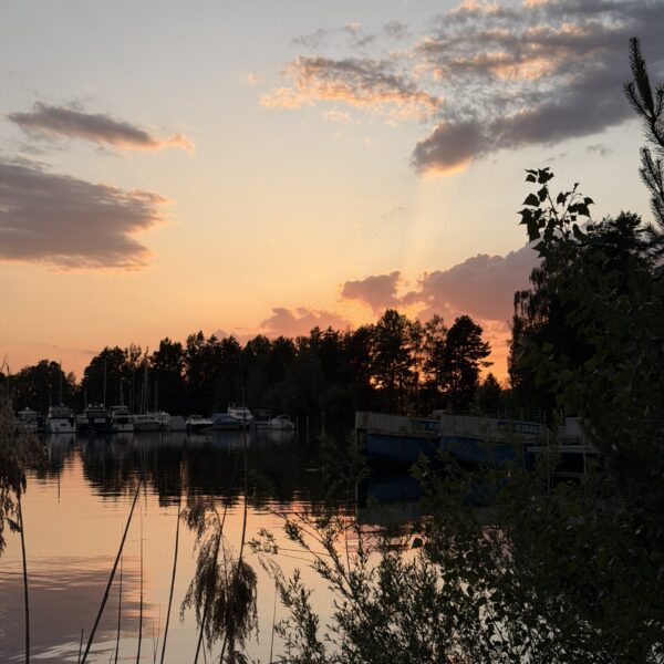 Boote im Zürichsee bei Sonnenuntergang mit Wolken und Bäumen