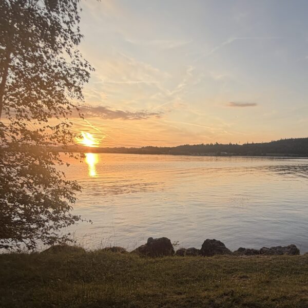 Sonnenuntergang am Zürichsee mit Baum und Ufer.