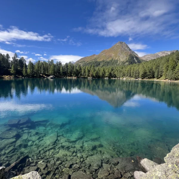 Türkiser Lagh da Saoseo mit Berg und Kiefernwald, Schweiz