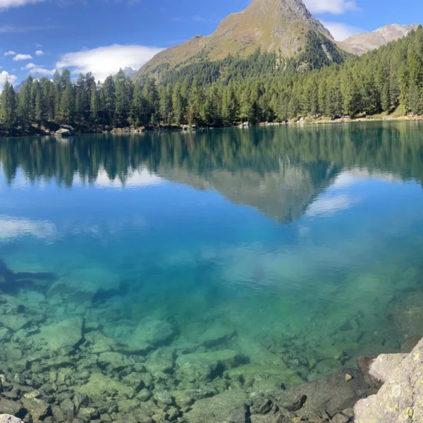 Türkisblauer Lagh da Saoseo mit Bergen und Kiefernwald im Engadin