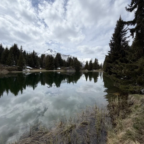Bergsee mit Spiegelung von Bäumen und Wolken, Lais da Flix