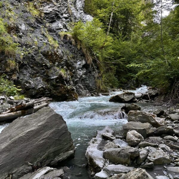 Wilder Bach im Churwaldenertal mit Felsen und Bäumen