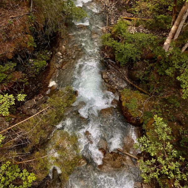 Rabiusa Bach im Churwaldnertal, ein Gebirgsbach mit klarem Wasser und grüner Vegetation.