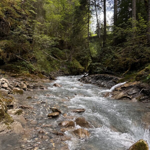 Tosender Bach im Churwaldnertal, Rabiusa