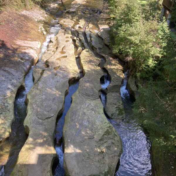 Schwarzwasser: Strom fließt durch Kalksteinfelsen mit Bäumen.