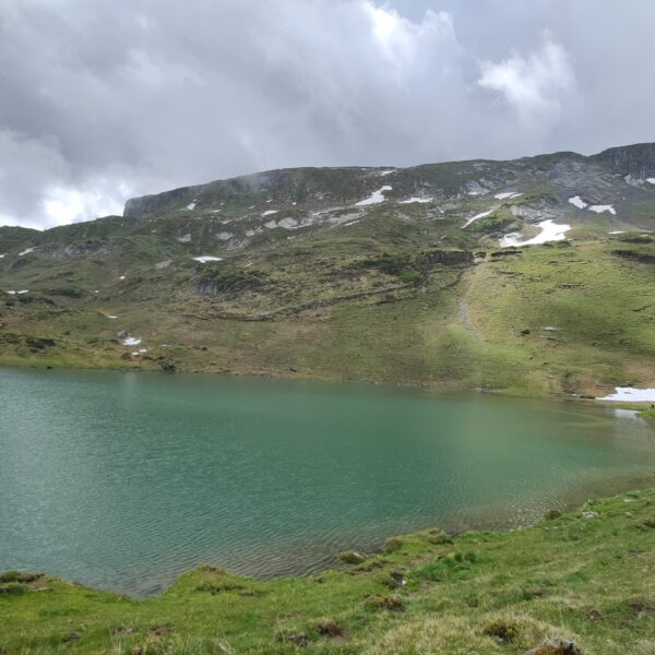 Der Seenalpersee in den Schweizer Alpen, ein türkisfarbener Bergsee mit grünen Hängen und Schneefeldern.