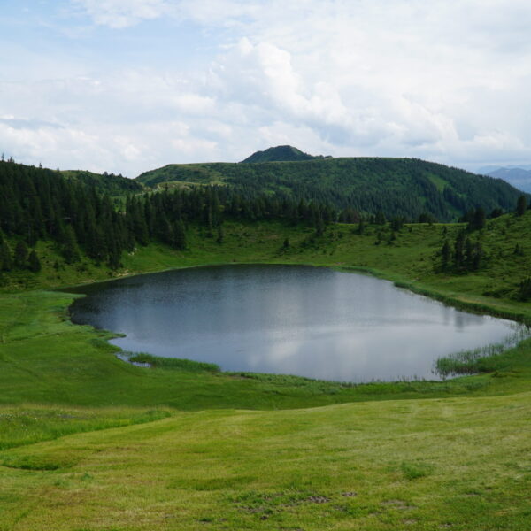 Grüner Bergsee mit umliegenden Wäldern und Wiesen, Sewenseeli