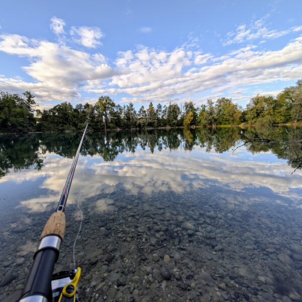 Angelrute am Wisterenweiher See mit klarer Spiegelung von Bäumen und Himmel.
