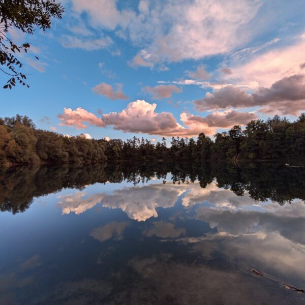 Spiegelung des Himmels im Wisterenweiher, mit Bäumen am Ufer.