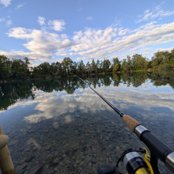 Angeln am Wisterenweiher: Angelrute über klarem Wasser mit Spiegelung von Bäumen und blauem Himmel.
