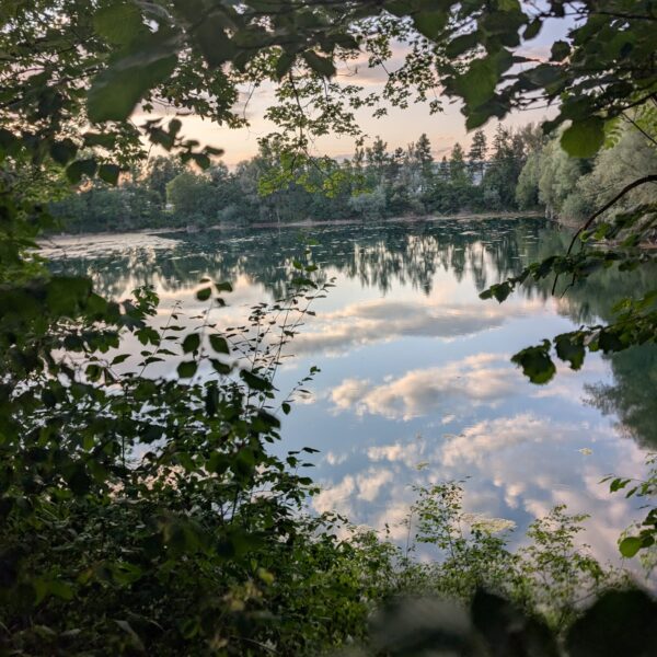 Wunderschöne Spiegelung des Himmels im Wisterenweiher, umrahmt von Bäumen.