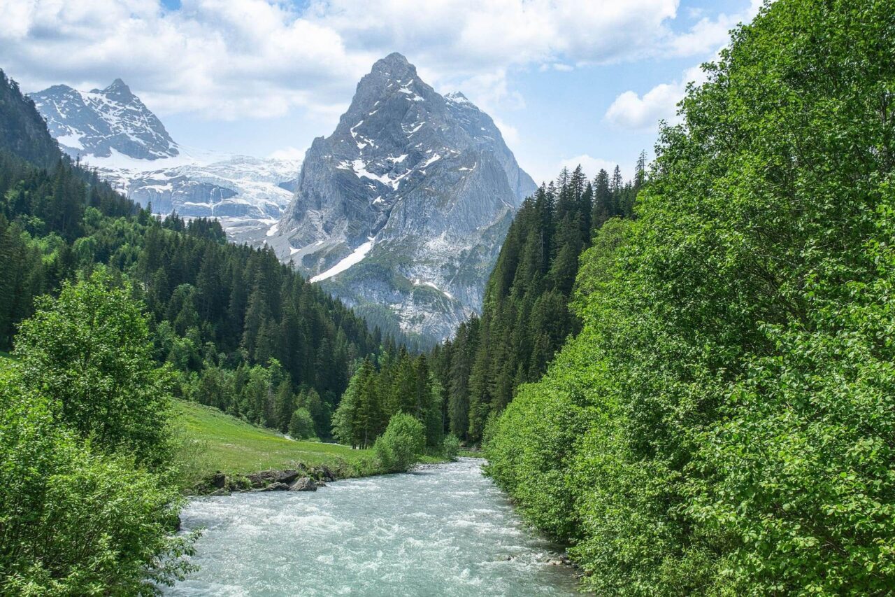 Ein schnell fließender Fluss, umgeben von üppigen grünen Bäumen, mit hohen, schneebedeckten Bergen im Hintergrund unter einem teilweise bewölkten Himmel.