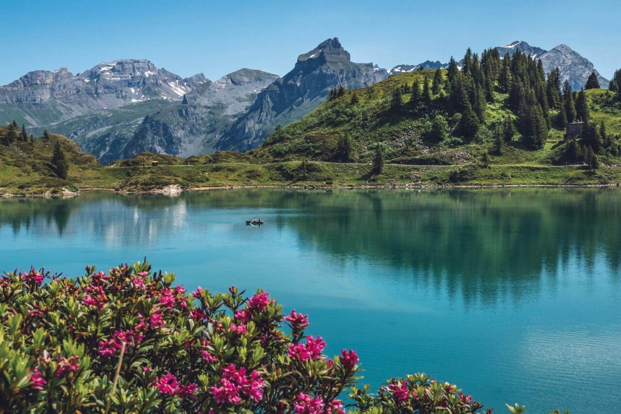 Ein klarer Alpensee spiegelt schroffe Berge und grüne Hügel wider. Im Vordergrund blühen rosa Wildblumen, und Kiefern bedecken die Hänge unter einem strahlend blauen Himmel.