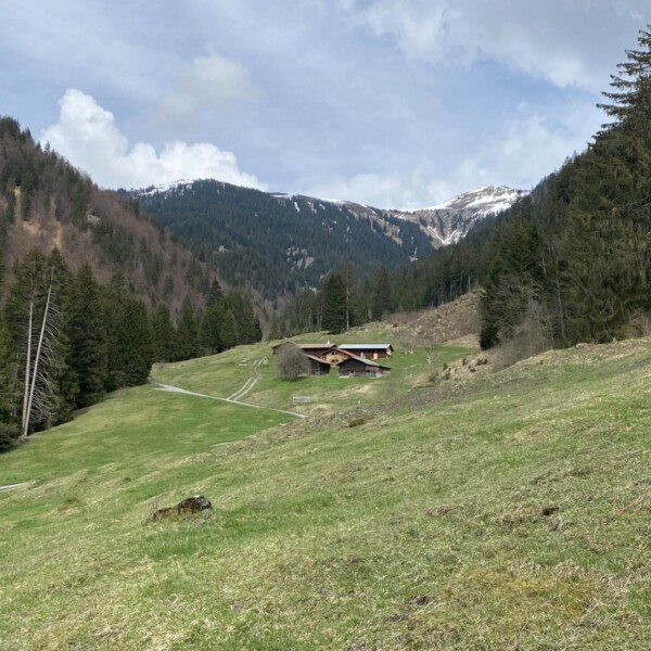 Eine Holzhütte steht auf einer grünen Wiese, umgeben von Kiefern und Bergen. Darüber ist der Himmel teilweise bewölkt. Auf den fernen Berggipfeln ist Schnee zu sehen.