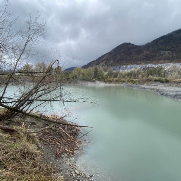 Ein ruhiger, türkisfarbener Caluori Weiher fließt durch eine felsige Landschaft mit blattlosen Bäumen im Vordergrund und bewaldeten Hügeln unter einem wolkigen, bedeckten Himmel.