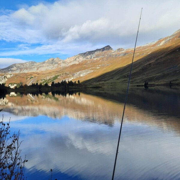 Eine Angelrute liegt am ruhigen Ufer eines Sees. In der Ferne spiegeln sich Berge und blauer Himmel unter vereinzelten Wolken im Wasser. Sträucher rahmen die untere linke Ecke ein.