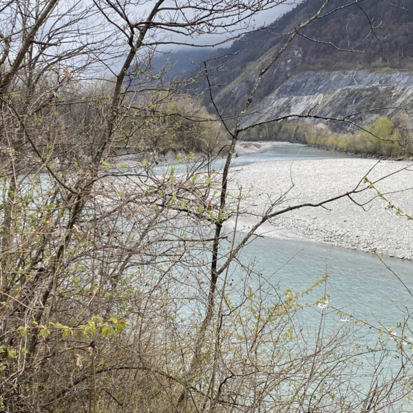 Ein Fluss mit hellblauem Wasser schlängelt sich durch ein felsiges, kiesiges Ufer. Belaubte, kahle Äste rahmen die Szene ein. Im Hintergrund sind Hügel und ein steiler, felsiger Hang unter einem bewölkten Himmel zu sehen.