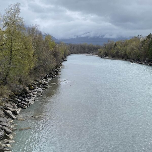 Ein ruhiger Fluss fließt zwischen felsigen, von Bäumen gesäumten Ufern unter einem wolkigen, bedeckten Himmel. In der Ferne sind schwach Berge zu erkennen, die teilweise vom Nebel verdeckt sind.