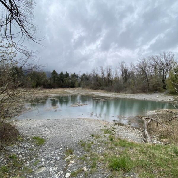 Ein kleiner, flacher Teich – der Zizerser Weiher – umgeben von kahlen Bäumen und spärlicher Vegetation unter einem bewölkten Himmel, mit Kies und Gras im Vordergrund. Die Szene wirkt ruhig und natürlich.