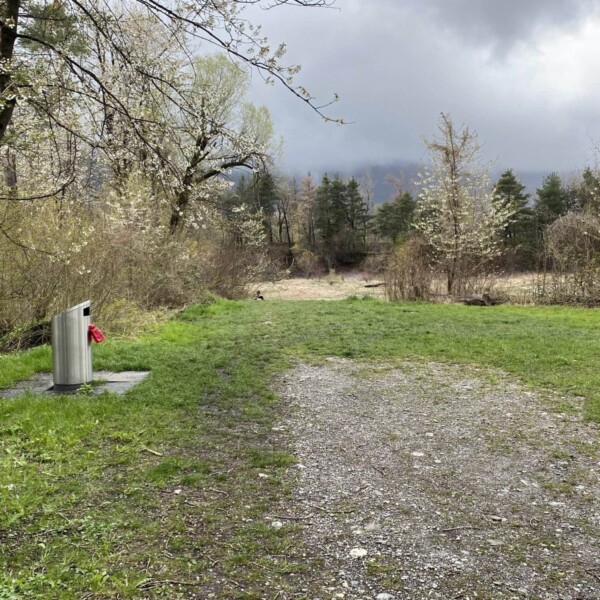 Ein Schotterweg führt in eine grasbewachsene Lichtung am Zizerser Weiher, umgeben von Bäumen und Büschen. Links steht unter einem bedeckten Himmel mit dunklen Wolken ein metallener Trinkbrunnen, an dem ein rotes Objekt hängt.