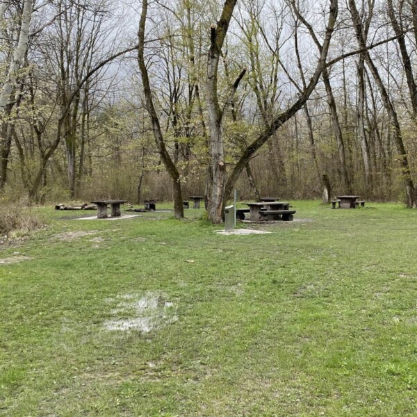 Mehrere Picknicktische stehen verstreut auf einer Rasenfläche am Zizerser Weiher, umgeben von kahlen Bäumen, mit kleinen Pfützen auf dem Boden und bewölktem Himmel darüber, was eine ruhige, frühlingshafte Atmosphäre schafft.