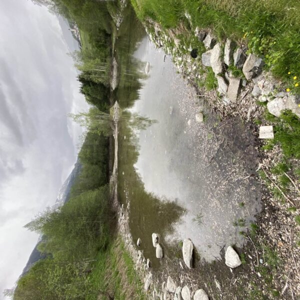 Ein kleiner, ruhiger Biotop-Teich in Salischinas ist von grünem Gras, Felsen und Bäumen umgeben und steht unter einem bewölkten Himmel. Im Hintergrund erheben sich Berge, während die Spiegelbilder der Bäume auf der Wasseroberfläche schimmern.