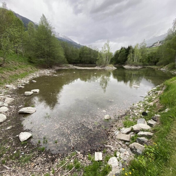 Ein kleiner, ruhiger Biotop-Teich in Salischinas ist von grünem Gras, Felsen und Bäumen umgeben und steht unter einem bewölkten Himmel. Im Hintergrund erheben sich Berge, während die Spiegelbilder der Bäume auf der Wasseroberfläche schimmern.