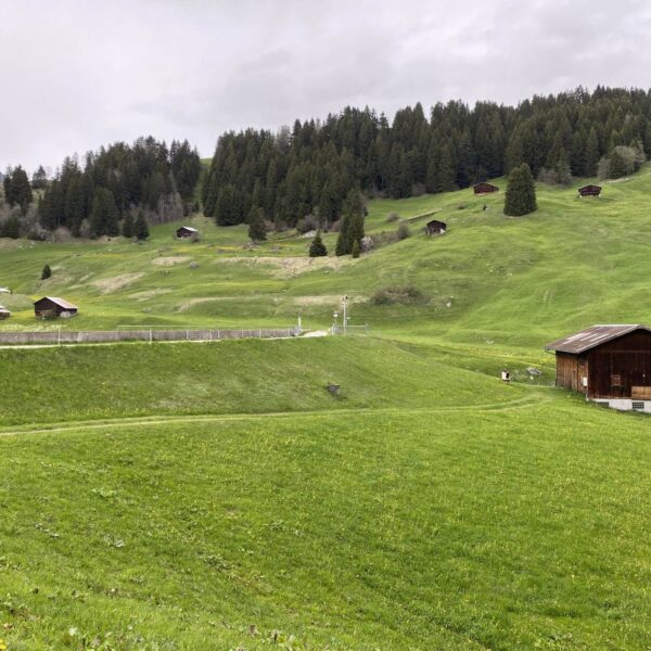 Ein üppig grüner Hang mit kleinen Holzhütten in der Nähe des Brigelsersees, umgeben von dichtem immergrünem Wald unter einem bewölkten Himmel; im Vordergrund steht eine Holzhütte, ringsum sanfte Grasfelder.