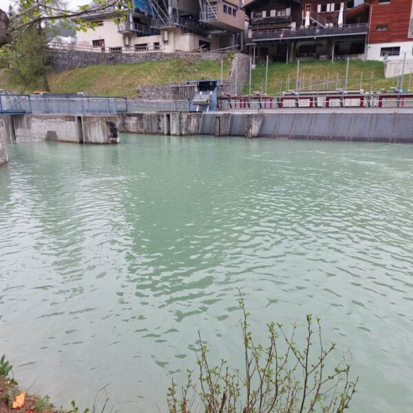Ein ruhiger türkisfarbener Fluss in der Schweiz fließt an einer Betonbarriere und einem Metallzaun vorbei, mit Gebäuden und Grün im Hintergrund, während ein Baum und Sträucher den Vordergrund von Landquart säumen.