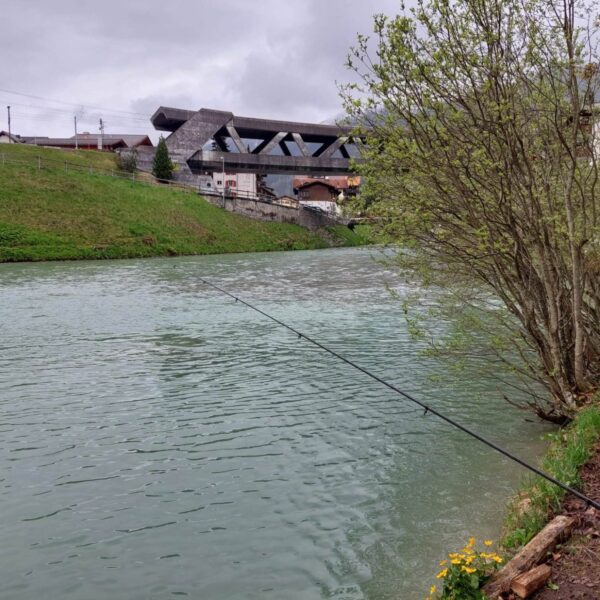 Eine Angelrute erstreckt sich über den Landquart Fluss mit grünlichem Wasser, das rechts von Gras und einem Baum gesäumt ist. Am gegenüberliegenden Ufer sind unter einem grauen, bewölkten Himmel in der Schweiz Gebäude und ein modernes Bauwerk zu sehen.
