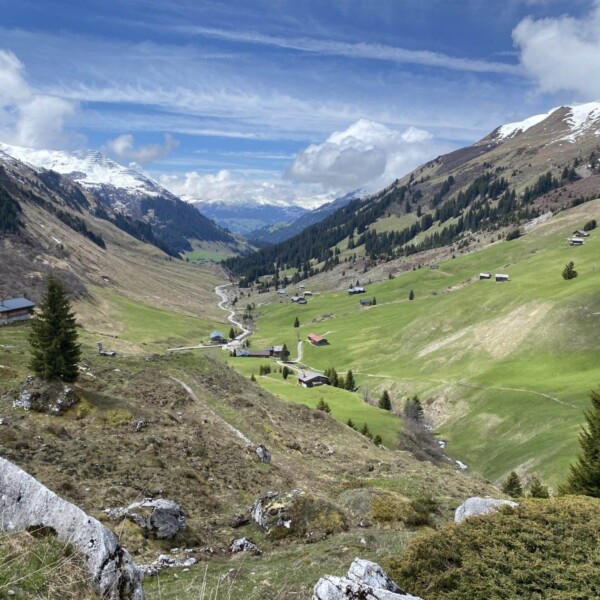 Ein malerisches Bergtal mit grünen Wiesen, verstreuten Häusern und kurvenreichen Straßen, umgeben von schneebedeckten Gipfeln unter einem teilweise bewölkten blauen Himmel. Im Vordergrund sind dichte Kiefern und Felsvorsprünge zu sehen.