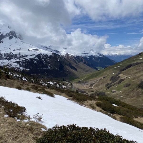 Eine Berglandschaft mit Schneeflecken auf Grashängen, vereinzelten Büschen und schneebedeckten Gipfeln im Hintergrund unter einem teilweise bewölkten Himmel. In der Ferne sind eine kurvenreiche Straße und Täler zu sehen.