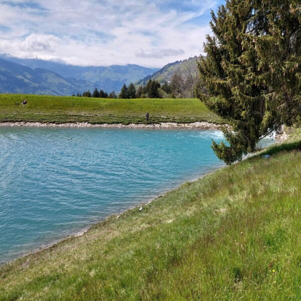 Ein leuchtend blauer Fluss, der an den Plävigginersee erinnert, fließt an einem grasbewachsenen Ufer mit einem großen immergrünen Baum entlang. Im Hintergrund sind Berge und Bäume unter einem teilweise bewölkten Himmel zu sehen.