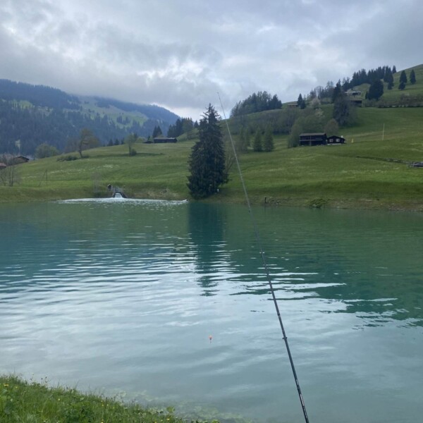 Eine Angelrute erstreckt sich über das ruhige, türkisfarbene Wasser des Plävigginersees, umgeben von grasbewachsenen Hügeln und Kiefern, mit Bergen und bewölktem Himmel im Hintergrund.