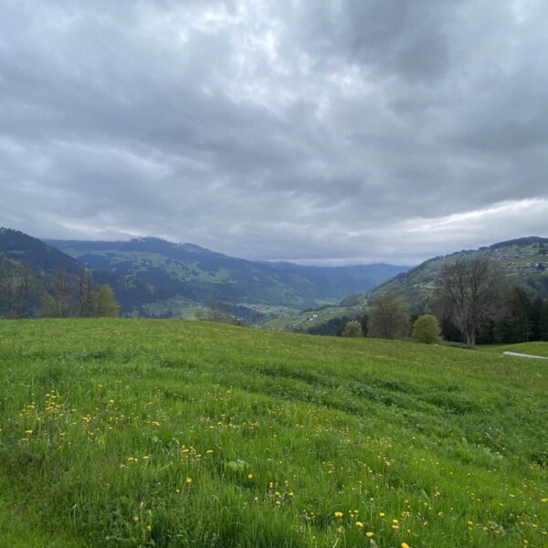 Eine weite grüne Wiese mit vereinzelten gelben Blumen erstreckt sich unter einem wolkigen Himmel zu sanften Hügeln und fernen Bergen. In der Ferne blicken Waldstücke und kleine Häuser auf den Plävigginersee.
