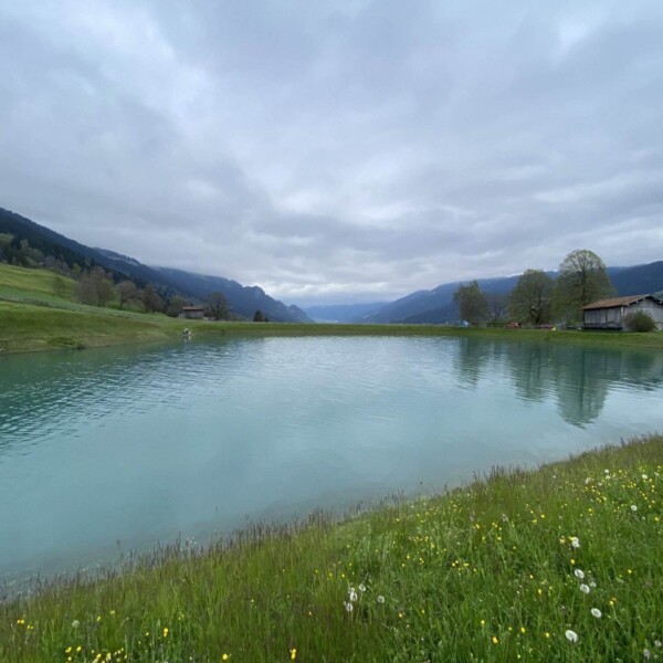 Der ruhige Plävigginersee ist von grünem Gras und gelben Wildblumen umgeben, im Hintergrund sind sanfte Hügel und verstreute Häuser unter einem wolkigen, bedeckten Himmel zu sehen.