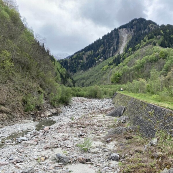 Ein felsiger Bach, bekannt als Rein da Sumvitg, fließt unter einem bewölkten Himmel durch ein grünes, bewaldetes Tal mit steilen Hängen und einer steinernen Stützmauer auf der rechten Seite.