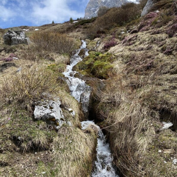 Der Schanielabach, ein kleiner Gebirgsbach, fließt unter einem teilweise bewölkten Himmel und mit schneebedeckten Bergen im Hintergrund durch grasbewachsenes, felsiges Gelände mit Moos- und Wildblumenflecken bergab.