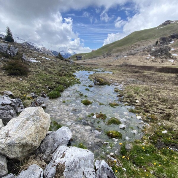 Ein kleiner Bach, der Schanielabach, fließt durch eine felsige, grasbewachsene Alpenlandschaft mit Schneeflecken, sanften grünen Hügeln und einem bewölkten blauen Himmel im Hintergrund. In der Ferne ist eine Holzhütte zu sehen.