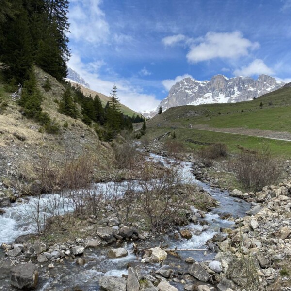 Der Schanielabach, ein klarer Gebirgsbach, fließt über Felsen durch ein grasbewachsenes und felsiges Tal, das auf der einen Seite von immergrünen Bäumen gesäumt und unter einem teilweise bewölkten blauen Himmel von schneebedeckten Gipfeln eingerahmt wird.