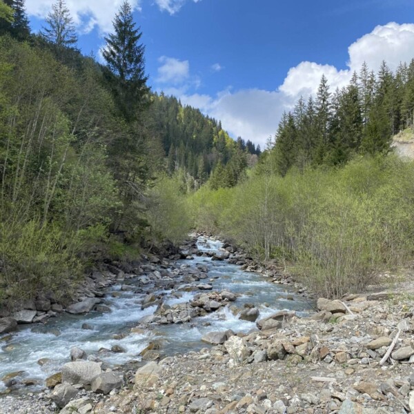 Der Schanielabach, ein klarer Gebirgsbach, fließt über Felsen durch ein bewaldetes Tal, umgeben von grünen Bäumen und steilen Hügeln unter einem teilweise bewölkten blauen Himmel.