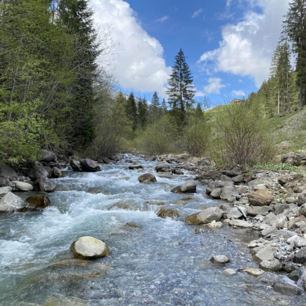 Ein klarer Gebirgsbach, der Schanielabach, fließt über Felsen und Geröll, umgeben von Bäumen und Grün unter einem teilweise bewölkten blauen Himmel. Im Hintergrund erheben sich Kiefern und bewaldete Hügel.