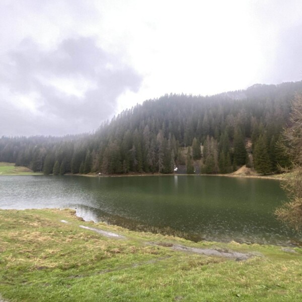 Ein ruhiger See namens Laret in der Nähe von Davos ist von grasbewachsenen Ufern und dichtem Kiefernwald umgeben, unter einem bewölkten Himmel, mit sanften Hügeln im Hintergrund.