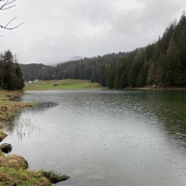 Ein ruhiger See in der Nähe von Davos Laret an einem bewölkten, regnerischen Tag, umgeben von grünem Gras und dichten Kiefernwäldern; in der Ferne sind ein paar kleine Gebäude zu sehen, während Tropfen auf der Oberfläche des Schwarzsees plätschern.