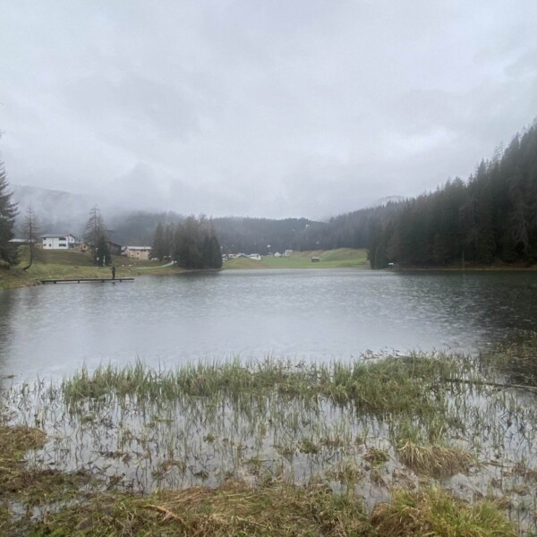 Ein ruhiger See, der an den Schwarzsee bei Davos erinnert, wird von grasbewachsenen Ufern und Kiefern unter einem bewölkten Himmel eingerahmt, mit ein paar entfernten Häusern am Wasserrand und bewaldeten Hügeln im Hintergrund.